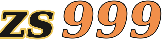 zs999 logo
